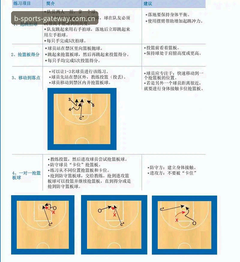 B体育官方平台与新手指南：B体育使用教程与自行摸索对比，哪个更高效？